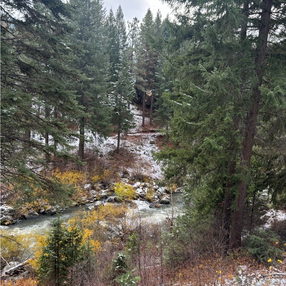 Meet your Posher, M - Picture 1 of 1